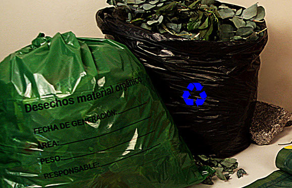 Fundas Plásticas Limpa